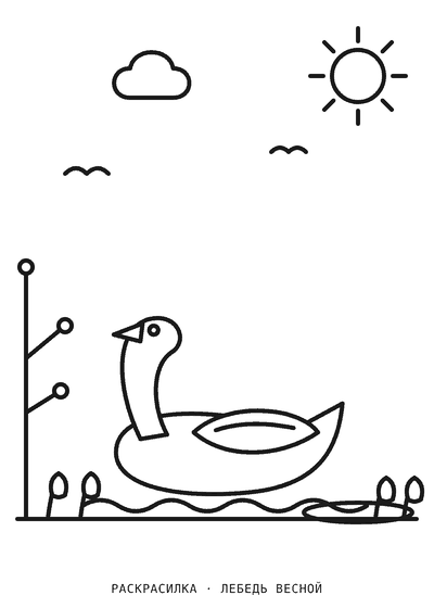 Раскраска Лебедь весной